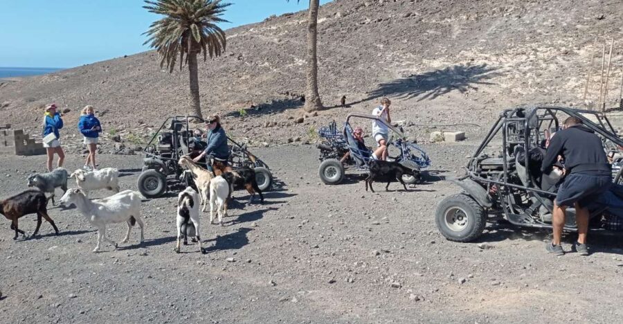 fuerteventura-jandia-natural-park-the-puertito-buggy-tour-discovering-jandia-natural-park