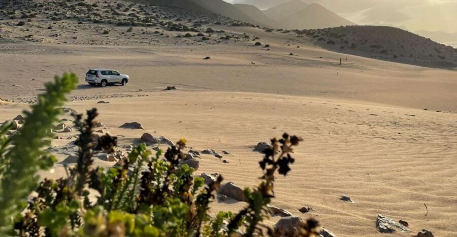 fuerteventura-southern-island-sand-dunes-sunset-jeep-tour-exploring-the-southern-fuerteventura