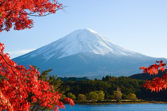 Fuji and Lake Kawaguchi Tour