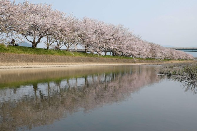 fukuoka-custom-full-day-tour-overview