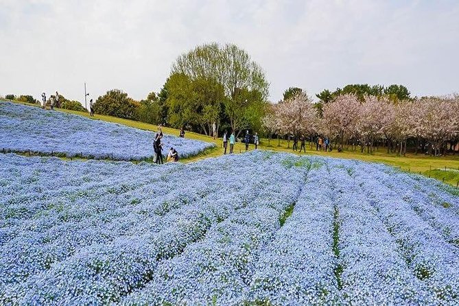 fukuoka-custom-half-day-tour-tour-overview