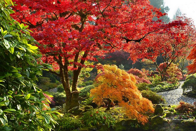 Full Day Best of Vancouver Private City Tour and Wine Tasting