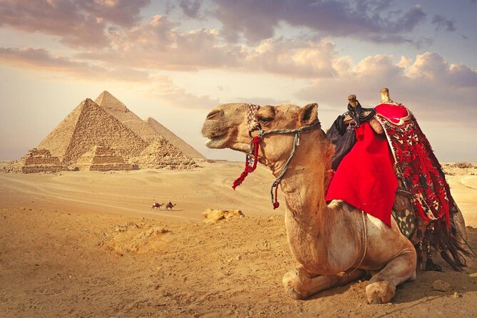 Full Day Cairo Guided Tour Pyramids and Museum, Lunch - Hurghada - Tour Overview