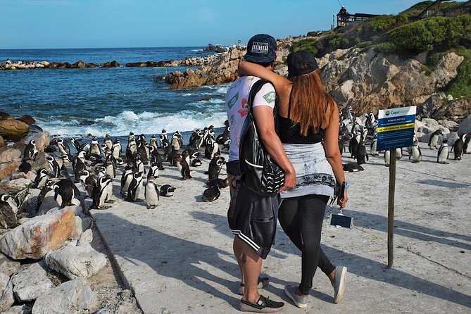Full-Day Cape Town Private Transfers and Chauffeur Services - Tour Overview