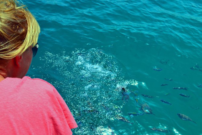 full-day-dhow-cruise-to-khor-sham-with-lunch-snorkeling-shore-excursions-itinerary