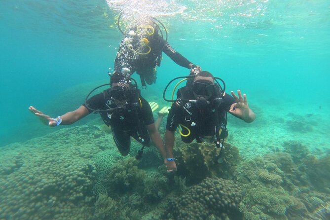 3 Best Snorkeling Experiences In Diani Beach