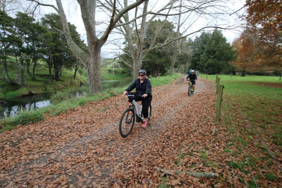 Full Day Ebike Tour - Karangahake Gorge NZ - Tour Overview
