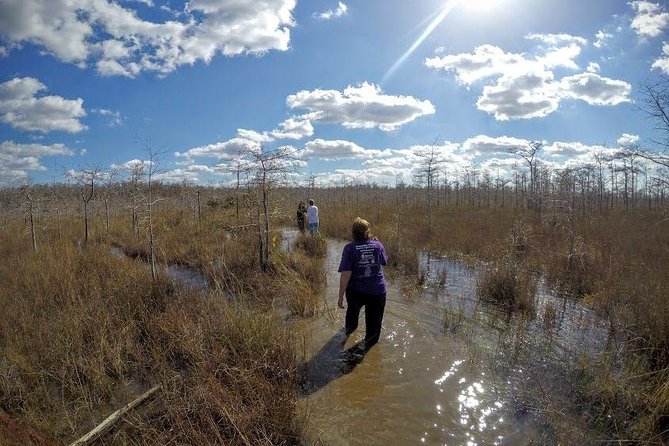 Full Day Everglades: Biologist Led WET Walk + 2 Boat Trips + Lunch Small Group