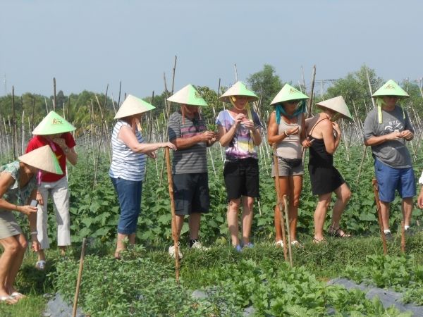 Full-Day Farming & Cooking Class at Agricultural Village - Immersive Farming Experience
