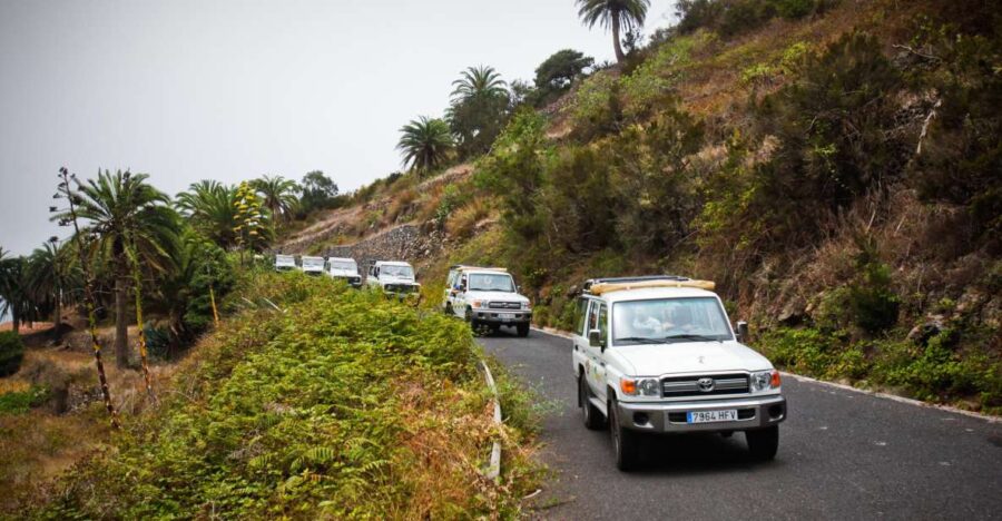 Full-Day Gomera Jeep Safari Excursion From Arona - Tour Overview