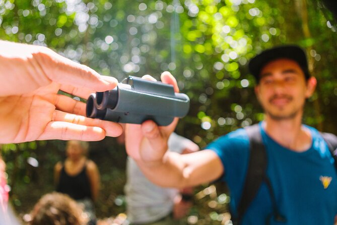 full-day-hakalau-forest-reserve-bird-watching-adventure-overview