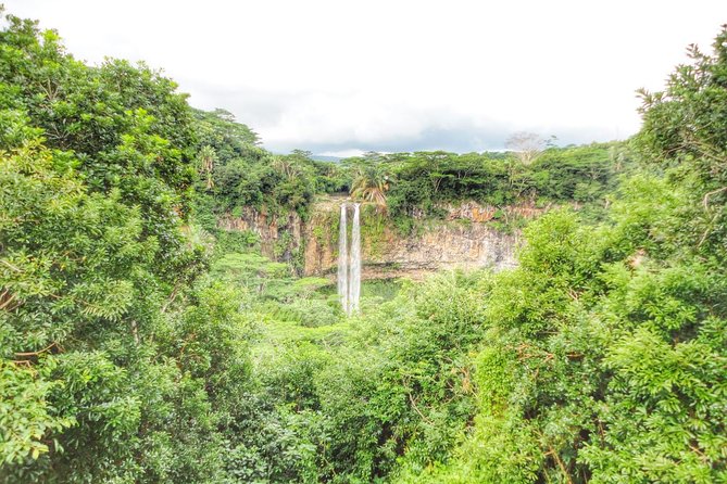 Full-Day Mauritius Volcanic Wonders Tour Including Swimming With Wild Dolphins