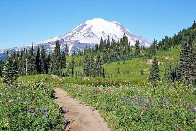 Full-Day Mt Rainier National Park Private Tour in SUV