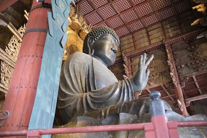 Full Day Nara E Bike Tour and Osaka History Food Tour