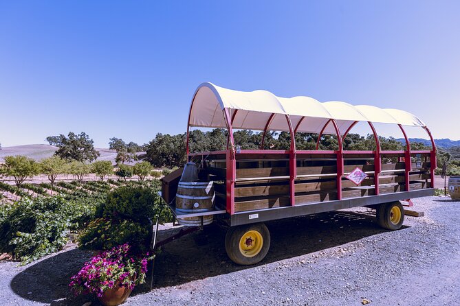 Full-Day Paso Robles Winery Tour With Picnic - Tour Details