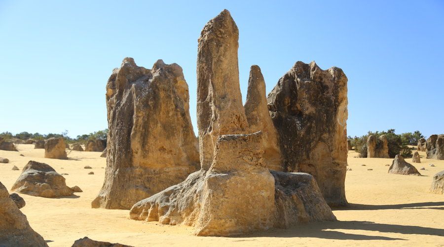 full-day-pinnacles-desert-and-new-norcia-overview-of-the-tour