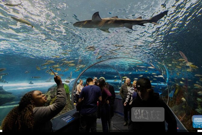 Full Day Private Sightseeing Tour in Toronto - Discovering Ripleys Aquarium