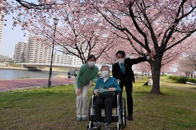 Full Day Private Tokyo Tour for Wheelchair Users - Inclusions