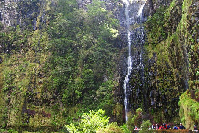 Full-Day Rabacal Levada Walk From Funchal - Included in the Tour