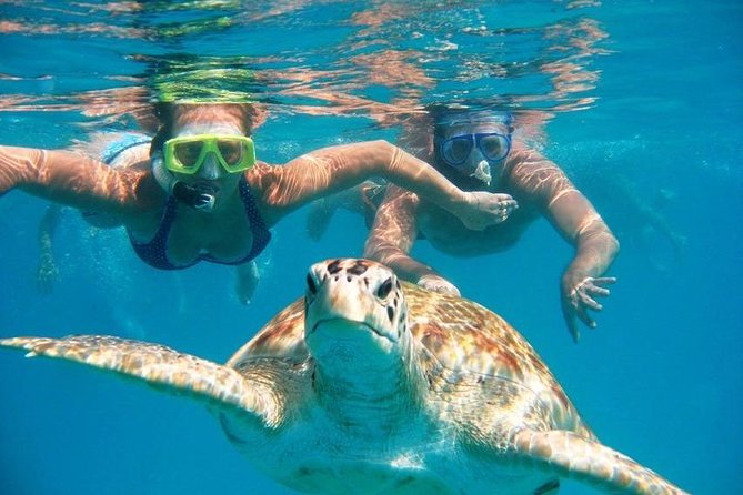 20 Best Full-Day Tours In St Thomas