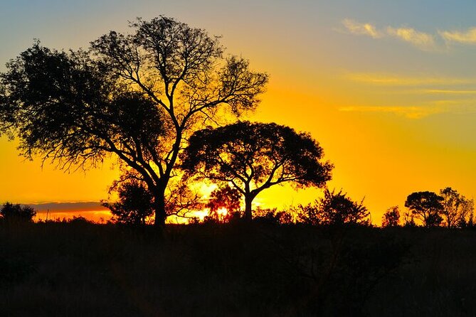 Full-Day Shared Kruger National Park Safari From Hoedspruit - Pickup Details