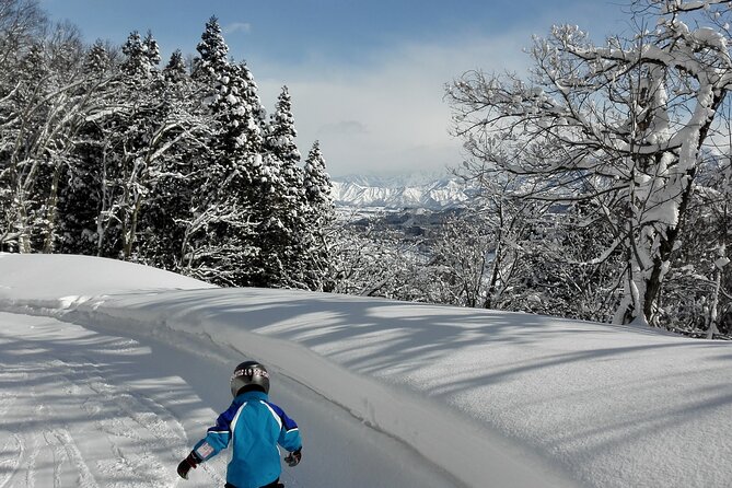 Full Day Ski Lesson (6 Hours) in Yuzawa, Japan