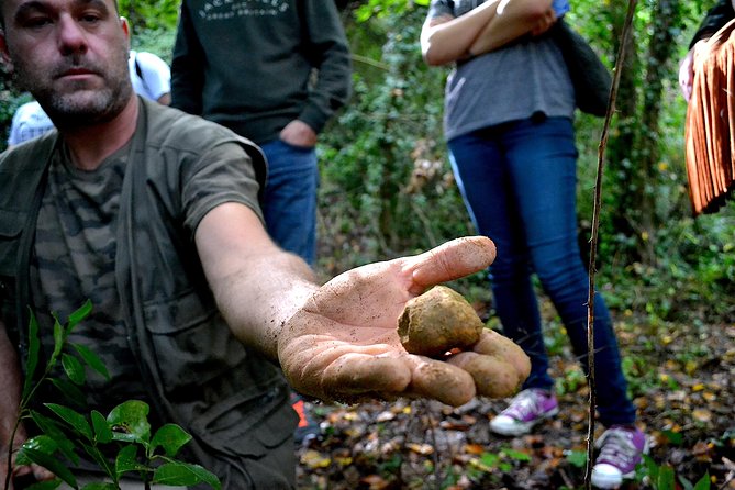 full-day-small-group-truffle-hunting-in-tuscany-with-lunch-tour-overview