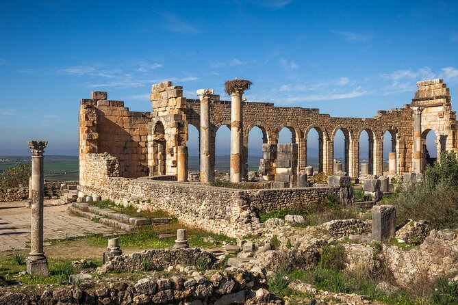 Full-Day Tour From Fez to Volubilis, Moulay Idriss Zerhoun, Meknes
