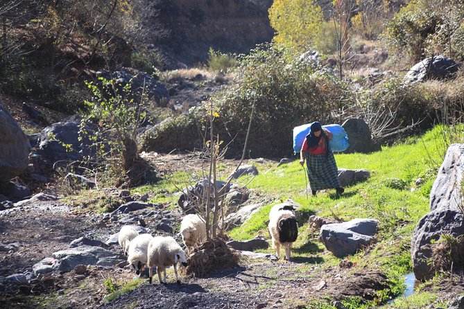 Full-Day Tour in Atlas Mountain From Marrakech With Lunch