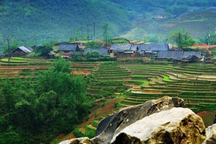 Full Day Tour in Sapa Trekking With Local Guide - Tour Overview