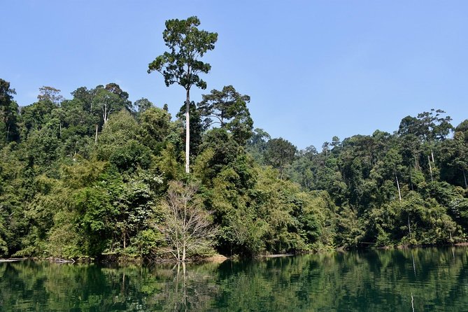 Full-Day Tour to Cheow Lan Lake in Khao Sok National Park From Krabi - Tour Overview