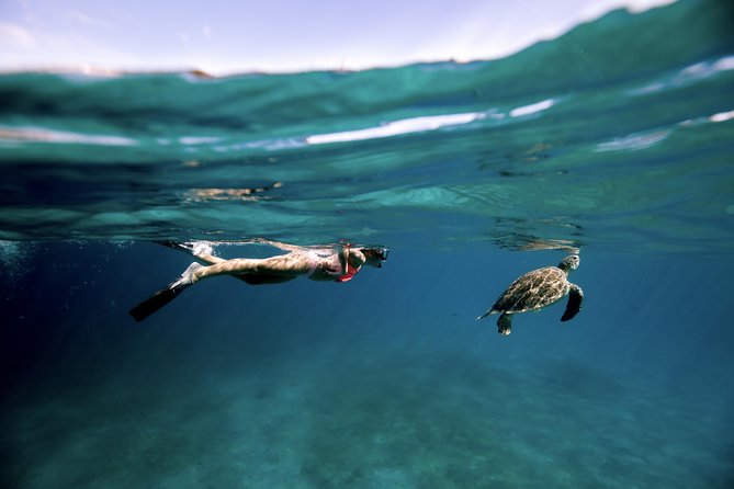 Full Day - Turtle Cove Snorkel & Water Island Beach Excursion