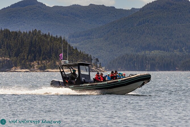 Full Day Whale Watching Campbell River - Overview of the Experience