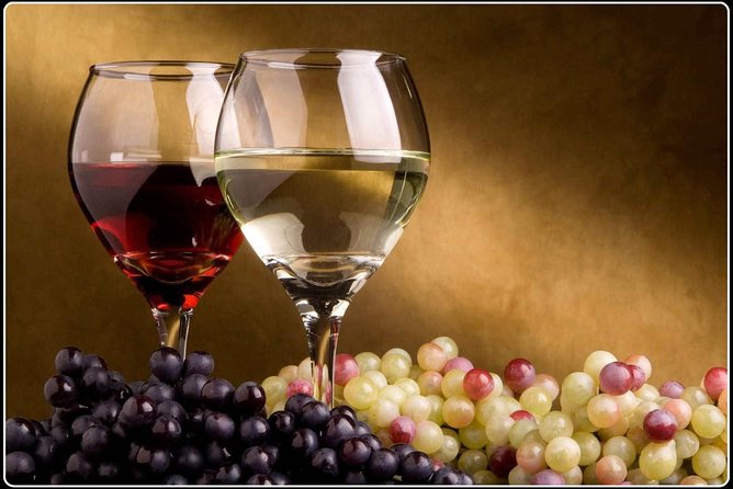 Full-Day Wine Gourmet and Scenic Delight Tour of Marlborough From Picton - Inclusions