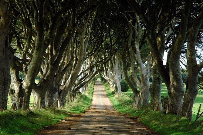 game-of-thrones-and-giants-causeway-day-tour-from-belfast-highlights-of-the-tour
