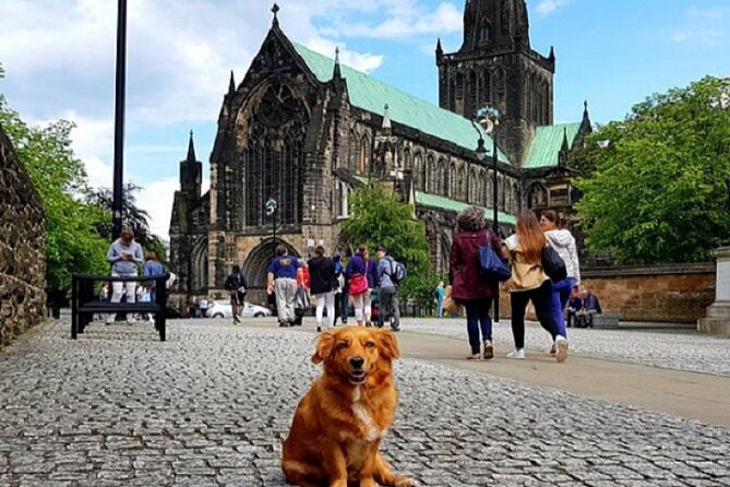 Gander Walking Tours in Glasgow