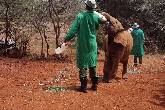 Giraffe Center, Elephant Orphanage, Beads Center & Bomas of Kenya Tour Nairobi