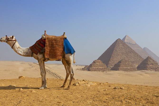 Giza Pyramids and Egyptian Museum Tours