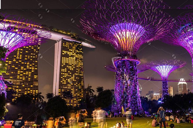 Glittering Singapore Night Out + Roundtrip Transfers - Tour Overview
