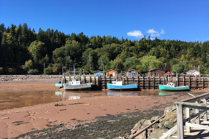 go-fundy-tours-fundy-tours-overview