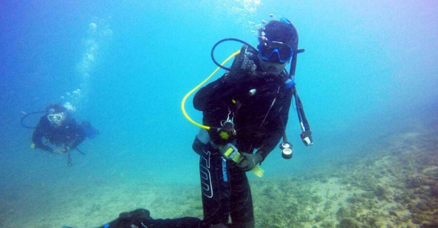 Gold Coast: 3-Day PADI Open Water Course