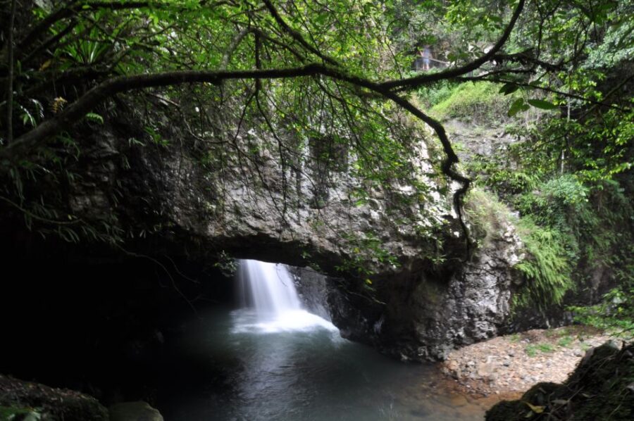 gold-coast-natural-bridge-springbrook-waterfalls-tour-tour-overview-and-highlights