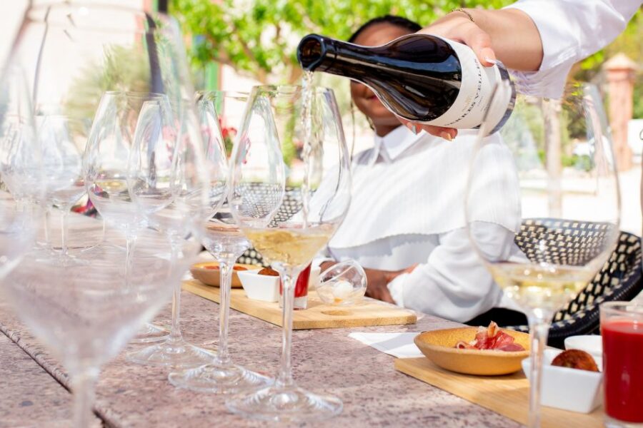 Gourmet Winery Tour: Wine Tasting and 8-Course Gourmet Menu - Tour Highlights