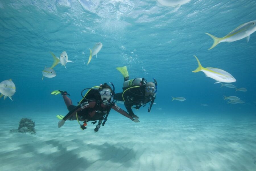 gran-canaria-3-day-padi-open-water-diver-course-course-overview
