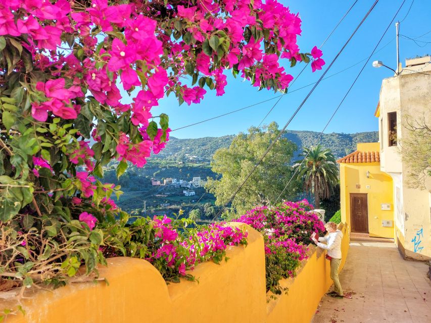 Gran Canaria 7 Highlights Small Group Tour With Tapas Picnic