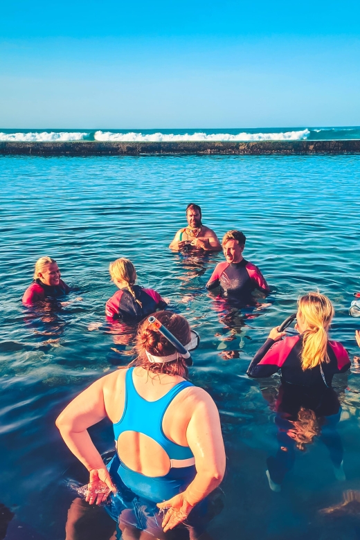 gran-canaria-north-coast-tour-salt-rock-pools-snorkel-%e3%83%84-tour-details