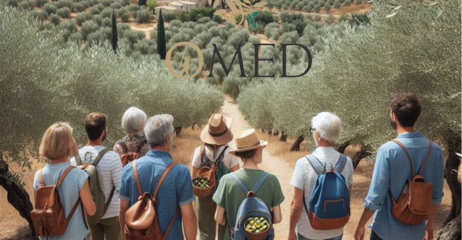 Granada in Evoo: Olive Grove Guided Tour and Sensory Tasting - Activity and Location