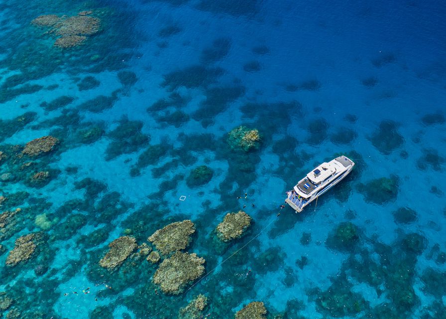 great-barrier-reef-snorkel-dive-full-day-adventure-dive-and-snorkel-reef-sites