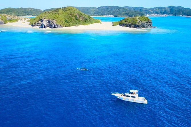 great-whale-watching-at-kerama-islands-and-zamami-island-overview-of-the-experience