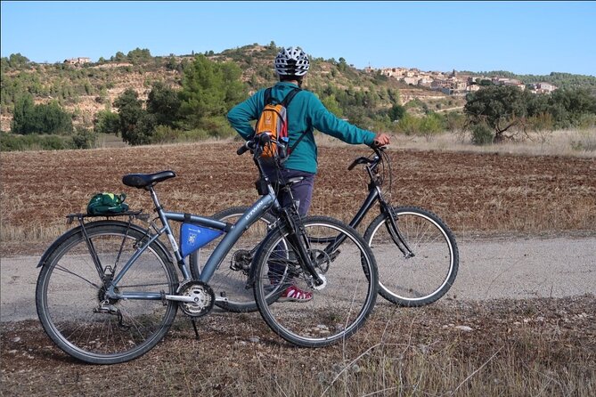 greenway-section-cretas-pinell-de-brai-27km-90-descending-10-flat-tour-details